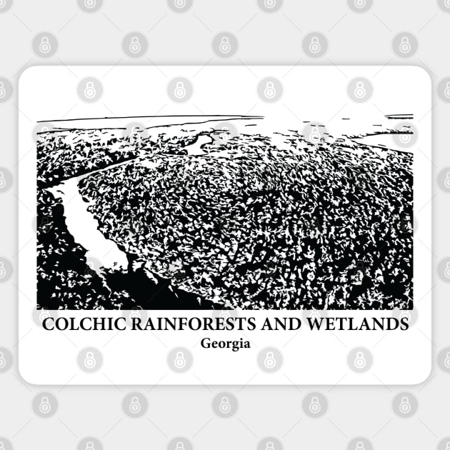 Colchic Rainforests and Wetlands - Georgia Magnet by Lakeric